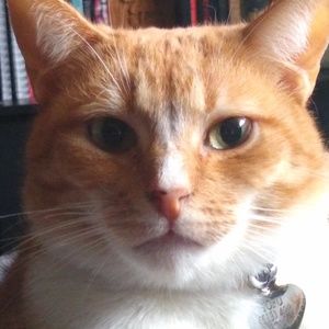 Meet your Posher, Rosie